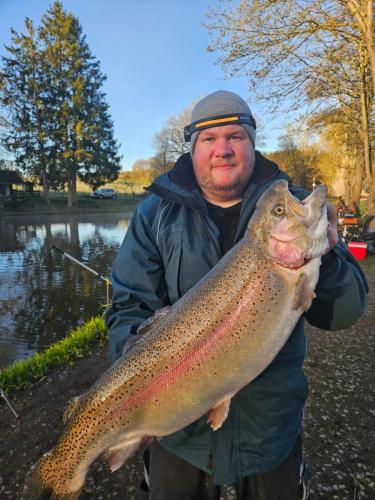 lachsforelle angler
